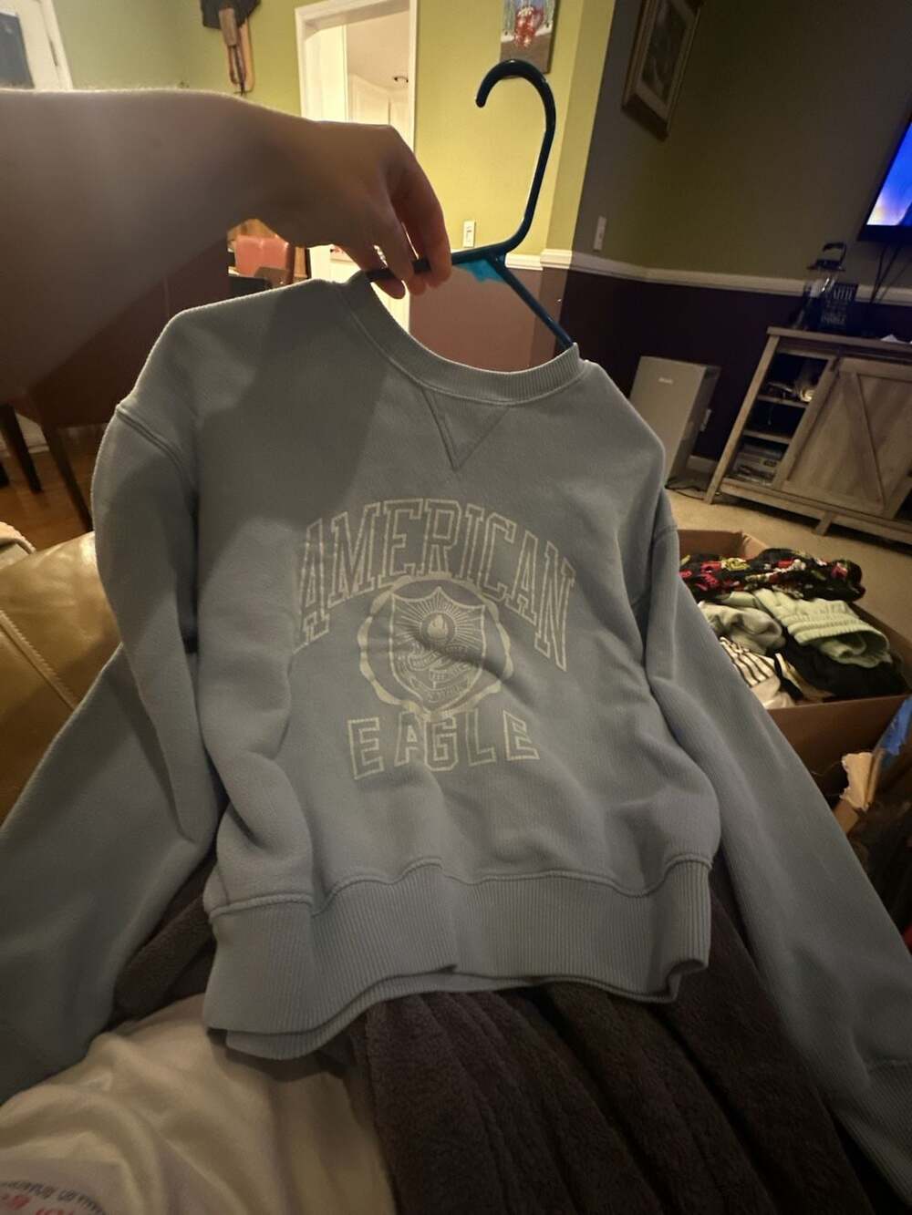 American Eagle x Oracle Red Bull F1 Max